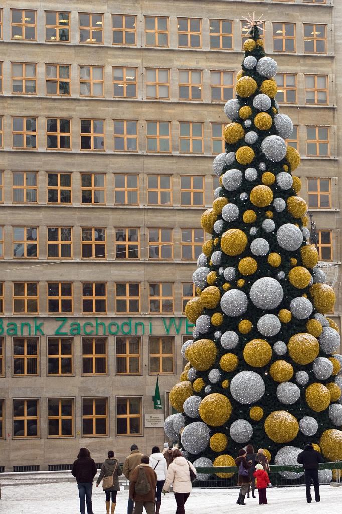 IMGP3660-001.jpg