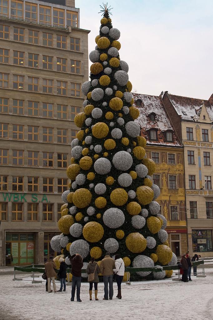 IMGP3666-001.jpg