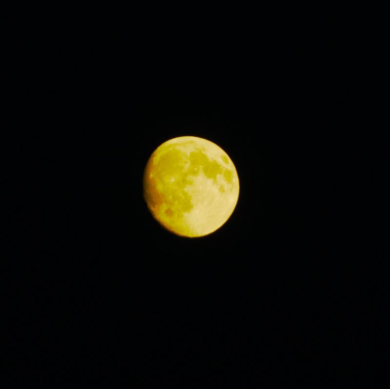 wro-13102008-04.jpg