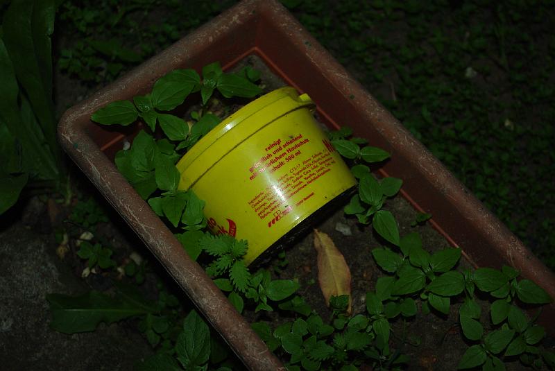 IMGP0790.JPG