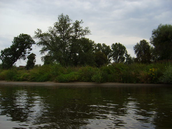S6001760