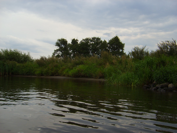 S6001764