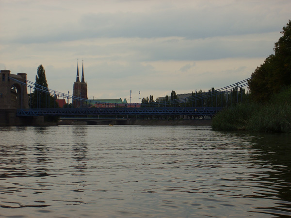 S6001788