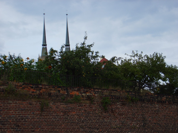 S6001800