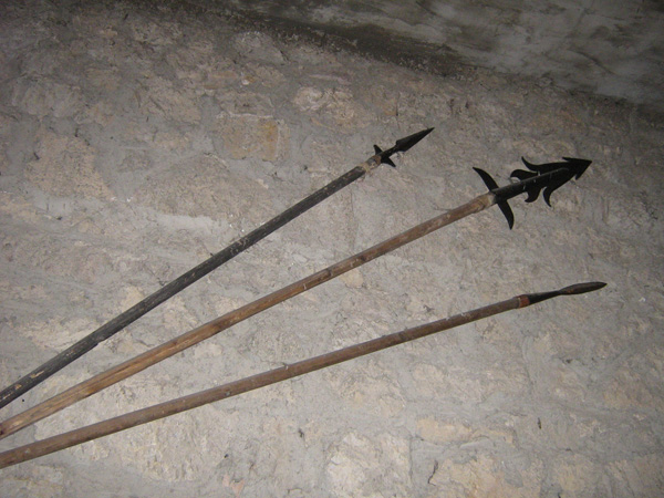 ajos-215