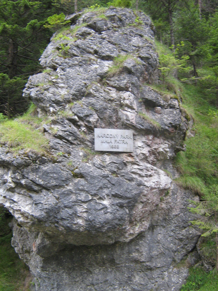 ajos-292