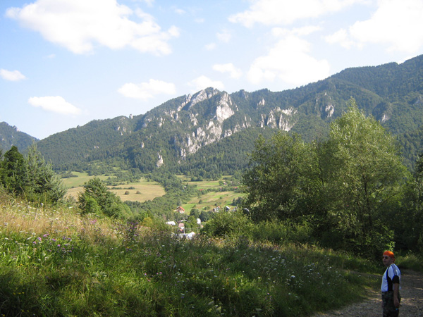 ajos-344