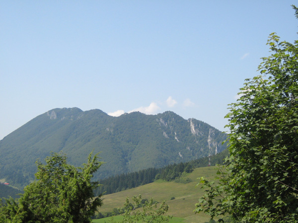 ajos-427