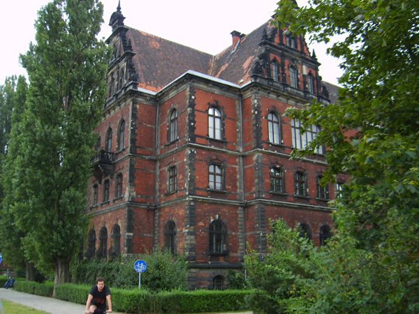 S6001661