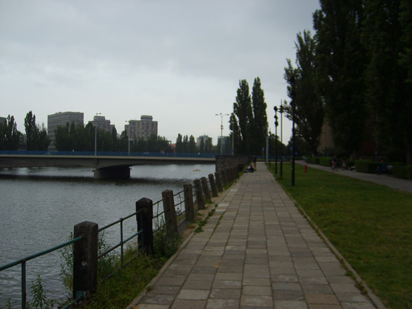 S6001663