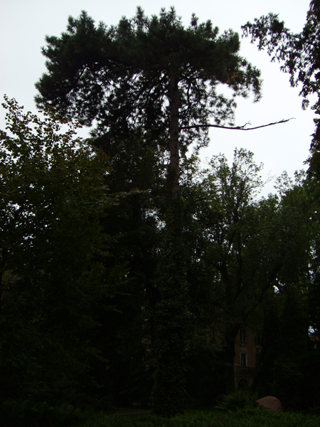 S6001735