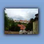 S6002098.jpg