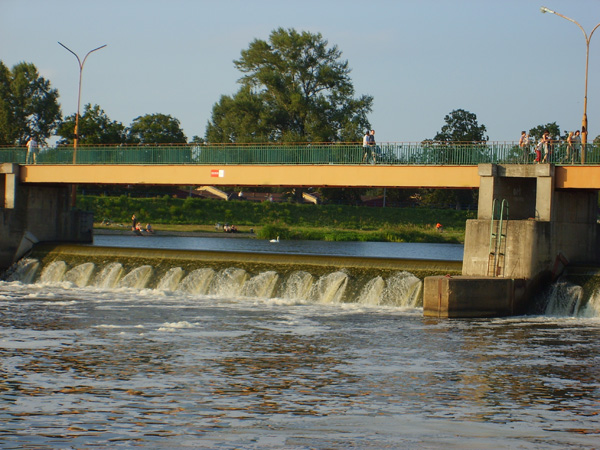 S6001819