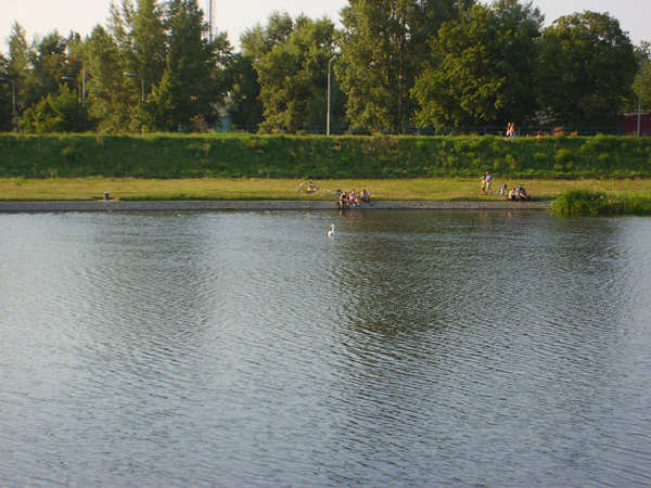 S6001821