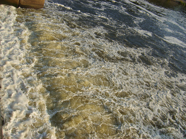S6001826