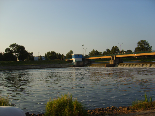S6001843