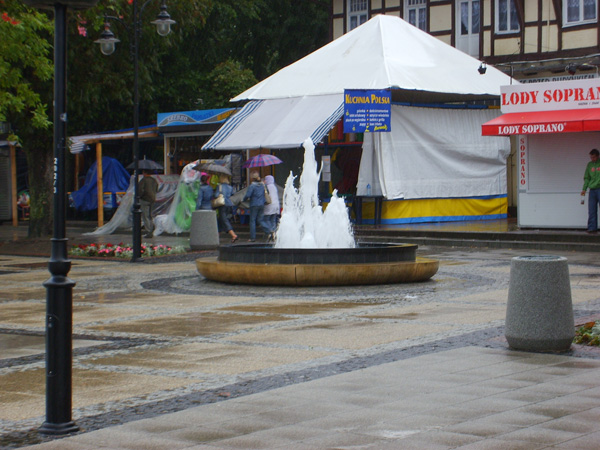 S6001462